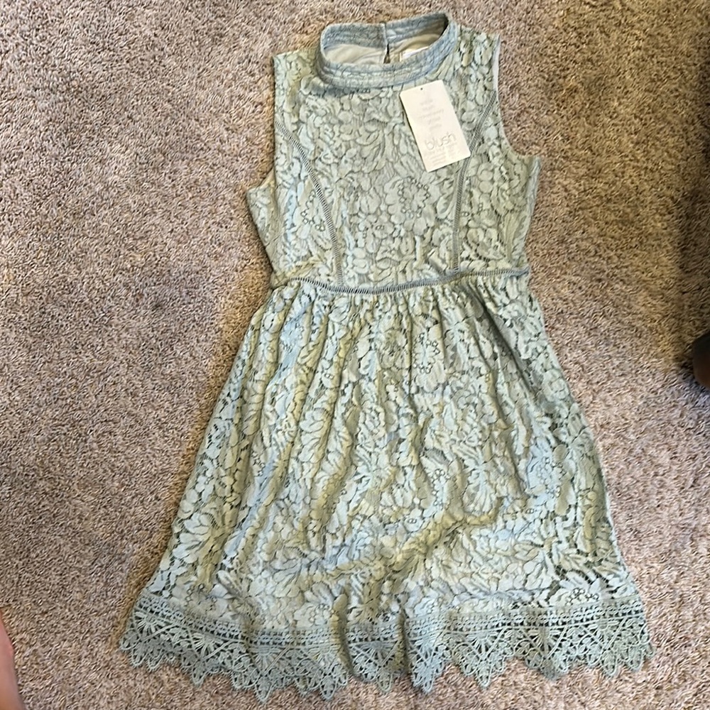 Blush Green A-Line Sleeveless Mock Neck Dress